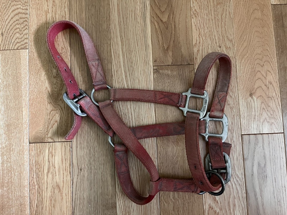 Tex Tan Adjustable Nose Halter Red Pony Size