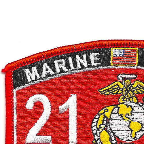 2141 AAV Repairer-Technician Patch