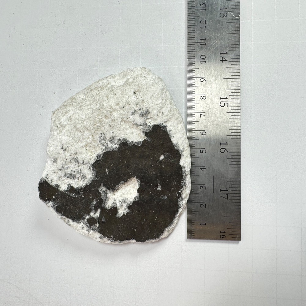 Space X Starship 34 - Recovered Heat Shield Tile - Flight 8