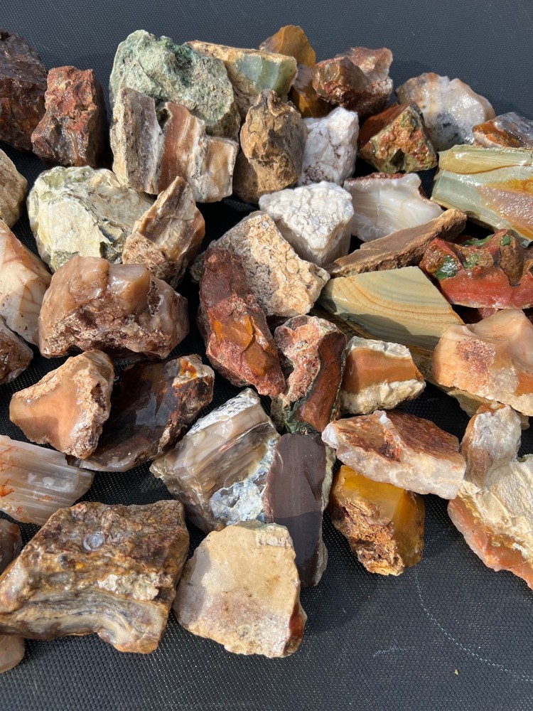 Owyhee Agate/Jasper Rough Lot 30.5 lbs (LL4)