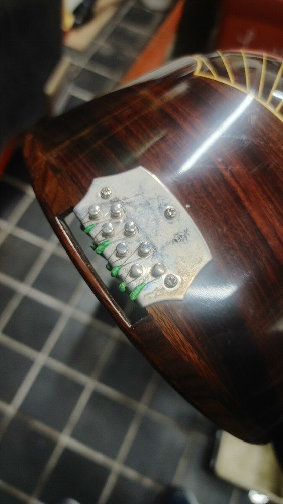 Mandolin ikegaku stringed instrument with case