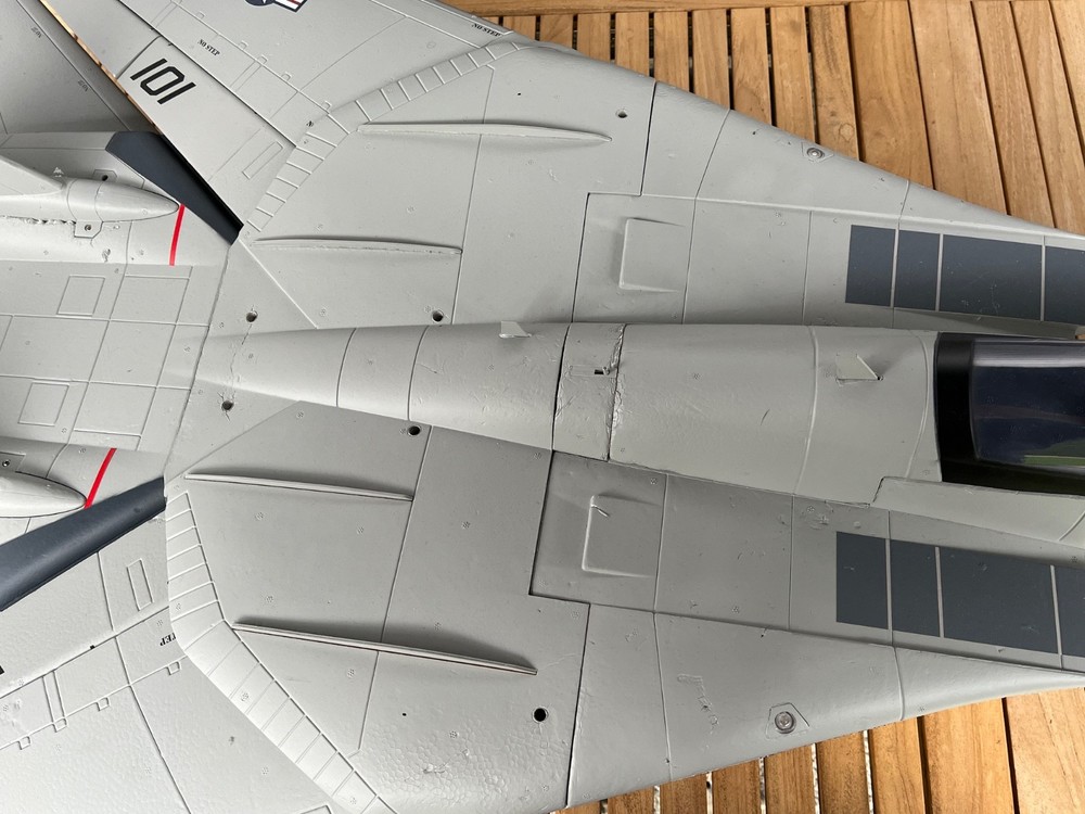 UPGRADED Freewing F-14 80mm edf