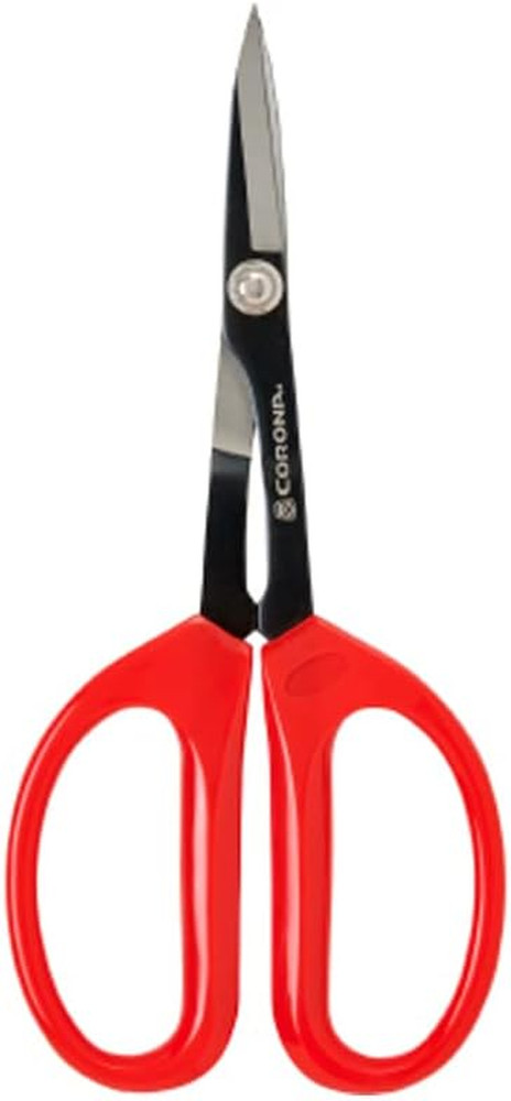 Precision Scissors