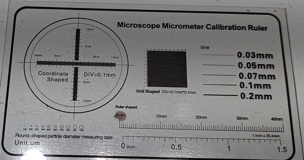 1000X Microscope USB Magnifier Digital Endoscope Camera SHIPs FREE!