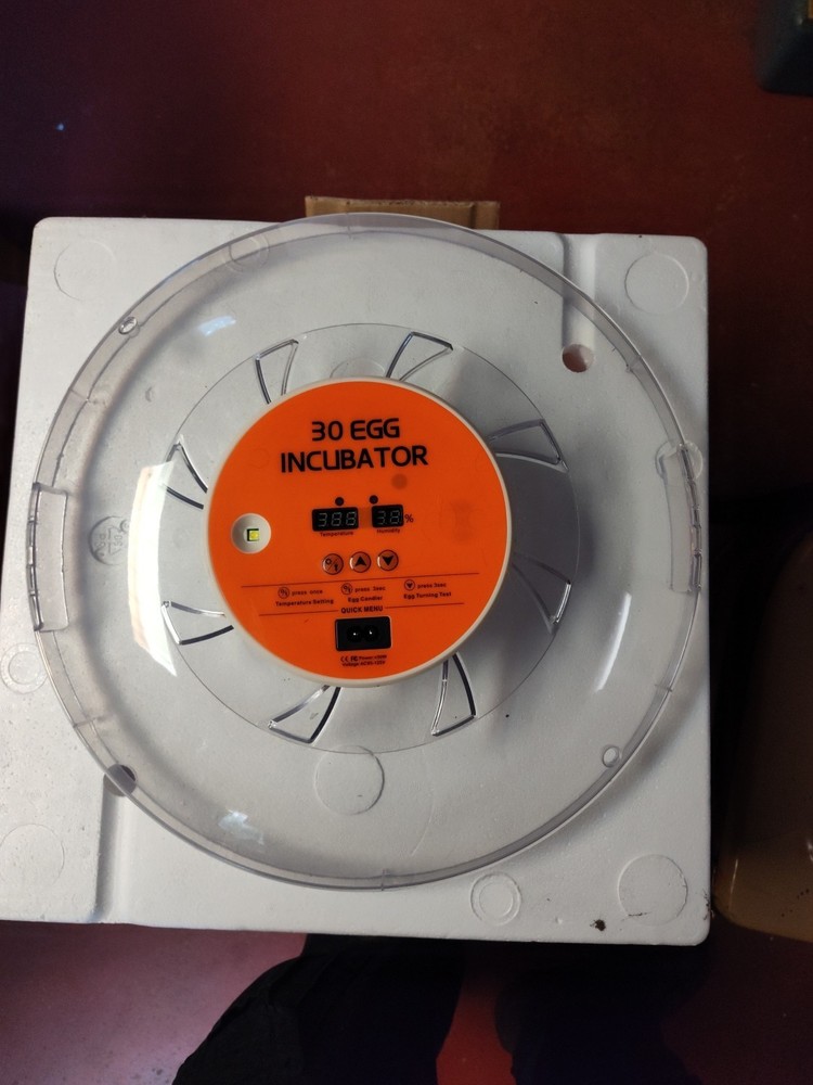 30 egg incubator Digital