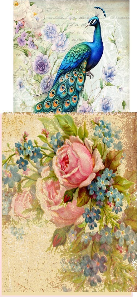 8 ATC Tea Cups Shabby Chic fold out blank insert glossy note card envelope