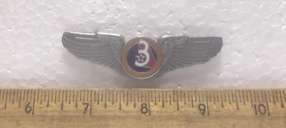 Large US Air Force - 3rd Air Force Wings Pin