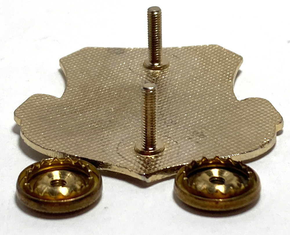 USAF Space Command Screw Back Insignia/ Pin