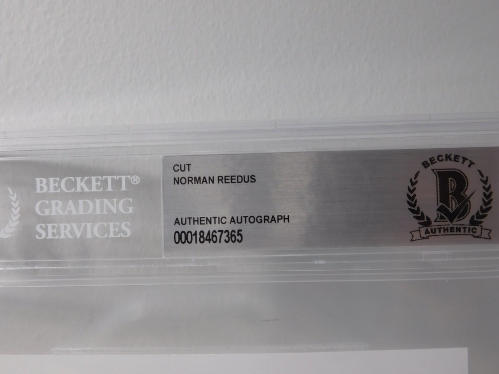 Norman Reedus Signed Beckett Authentic Autograph Encapsulation Walking Dead