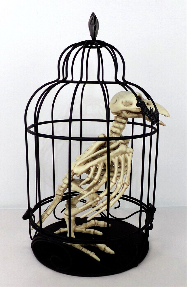 Halloween Skeleton Bird in Cage