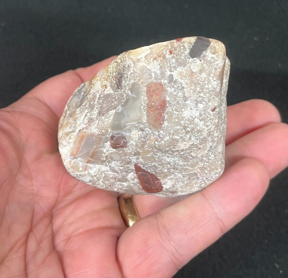 Pudding Stone Rough Michigan Display