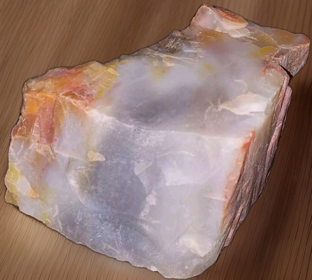 Petrified Agatized Rainbow Wood Rough 4 oz
