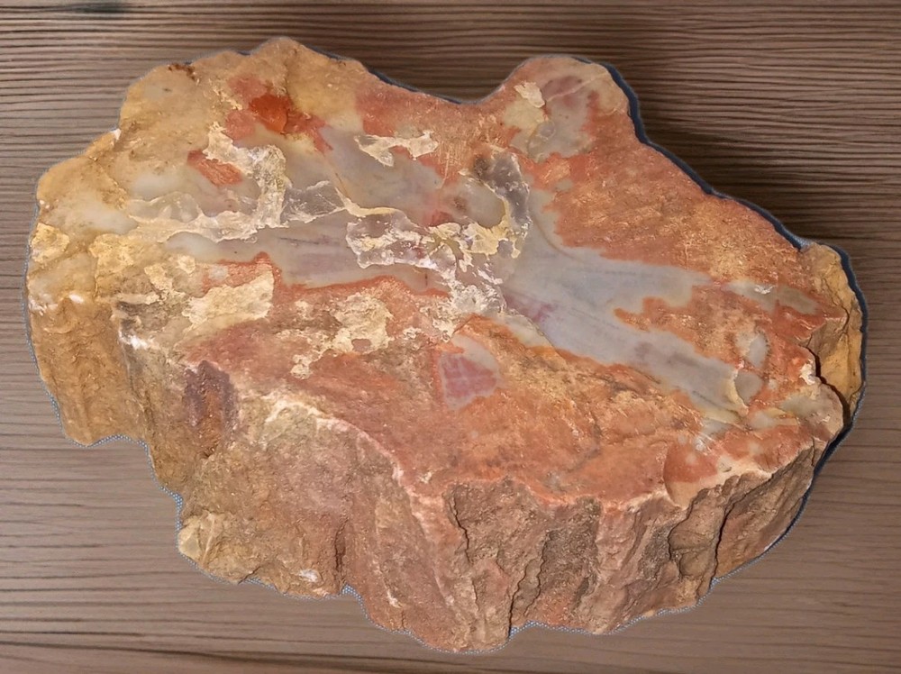 Petrified Rainbow Wood Rough 11 oz