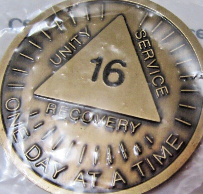Alcoholics Anonymous AA 16 Year Sunshine Bronze Medallion Token Chip Sober