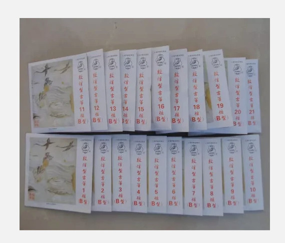 Guzheng B string standard strings Germany with steel core 1-21 sets strings