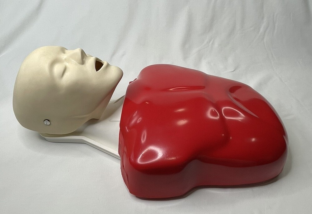 Nasco Life/form Basic Buddy+Baby Training CPR Dolls Dummy Manikin W Introduction