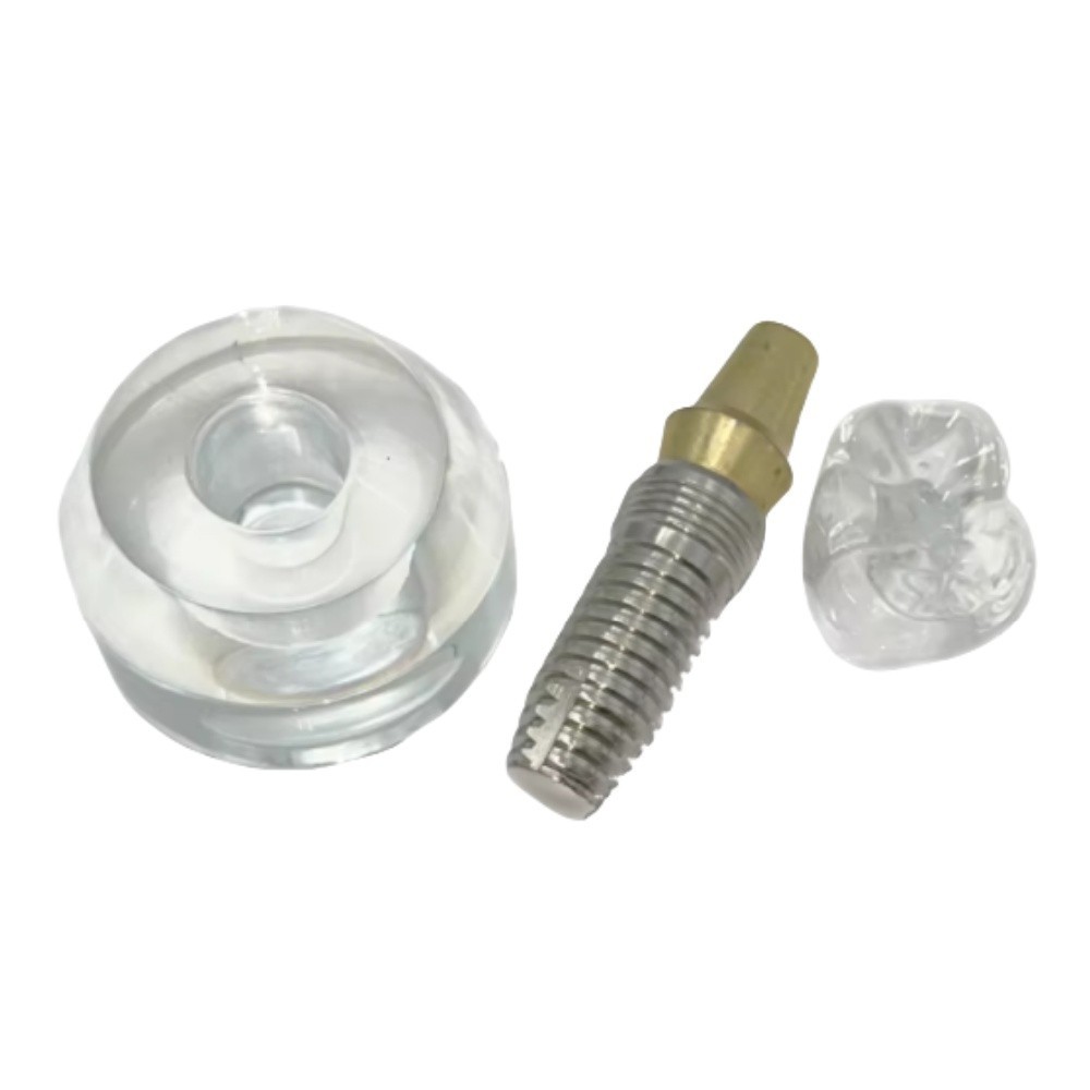 Dental Implant Model Demonstration Teeth Study Teach Models Detachable M2020