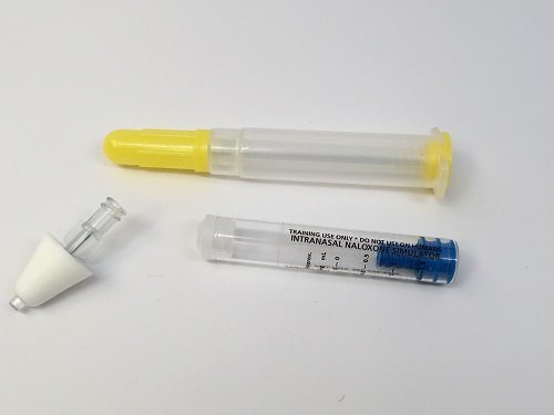 Intranasal Naloxone Training Kit Set