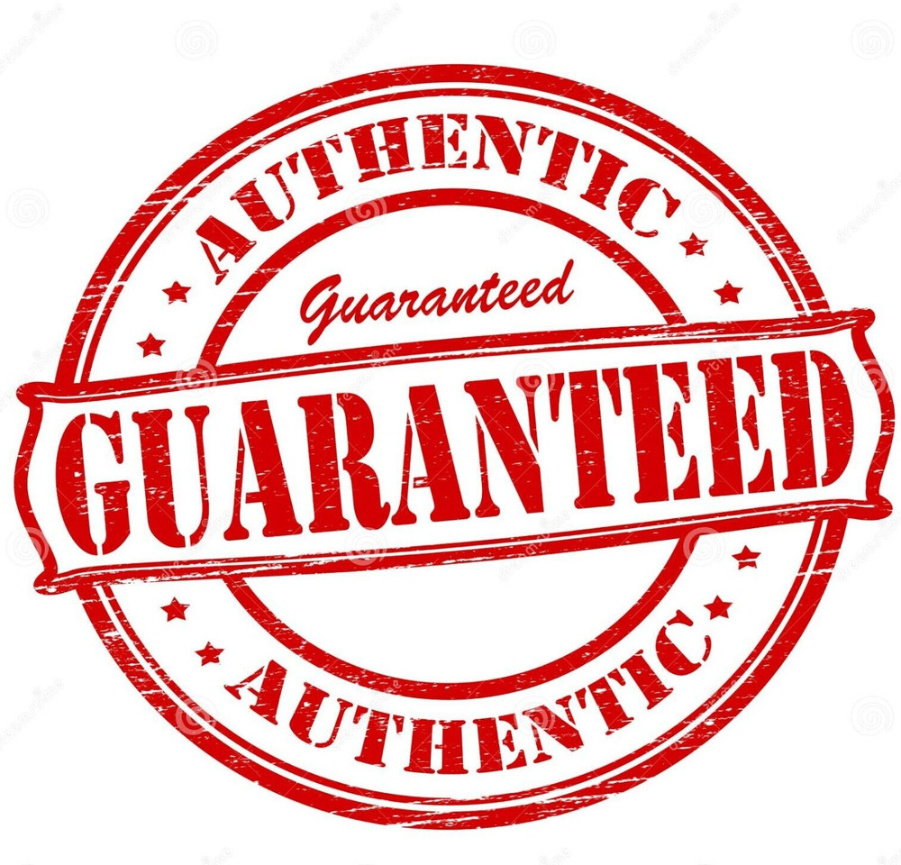 Authentic Replacement Case Box *Case Only* for Pikmin 1 + 2 One Two Switch