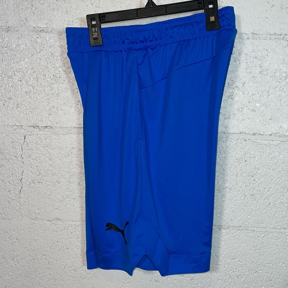 PUMA Men's Rtg Performance 10" Shorts blue small