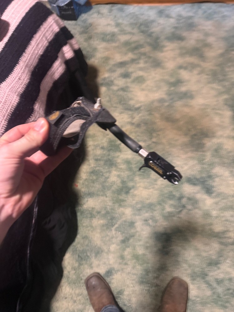 compound bows for hunting