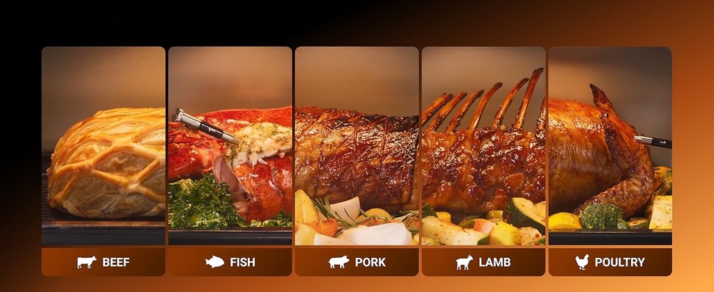 Typhur Sync Oven with Smart AI Wireless Meat Thermometer Probe