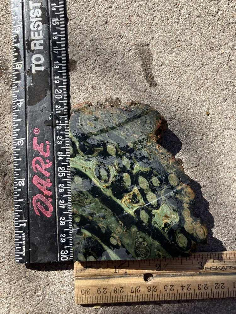 Kambaba Jasper Slab