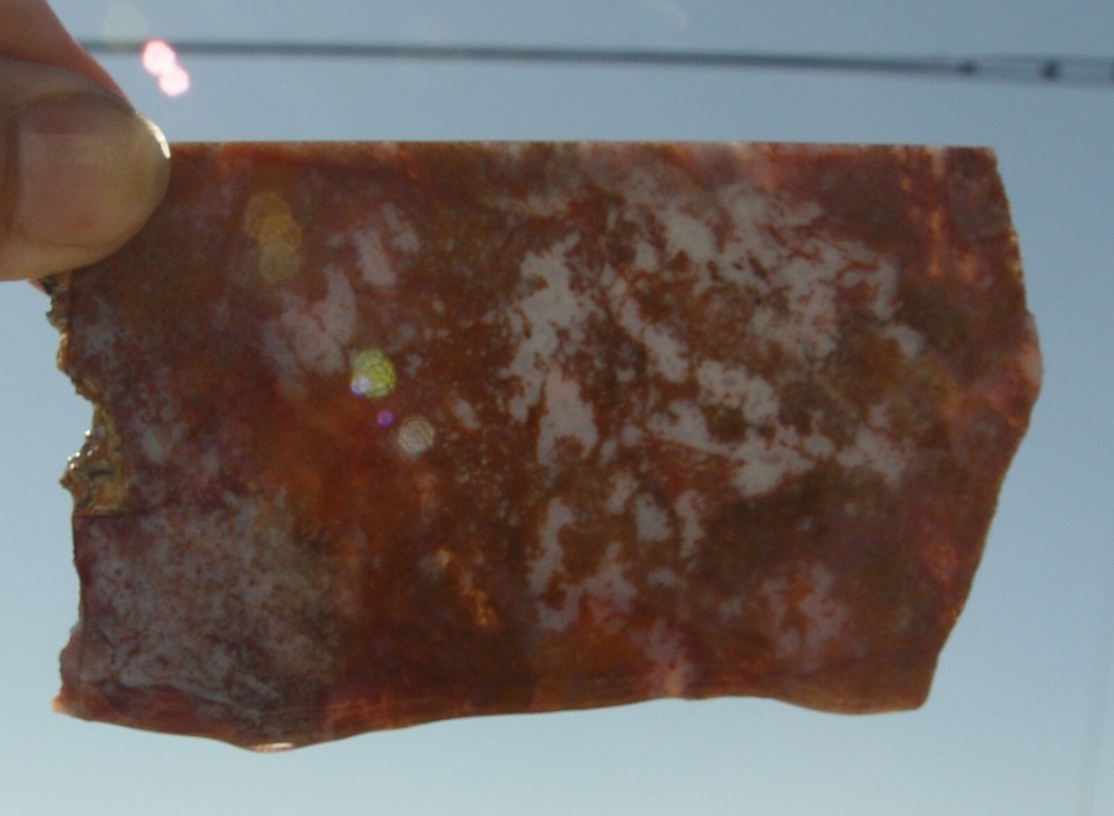 Calico Moss Agate Lapidary Slab T722