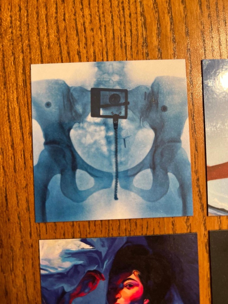 Lorde fridge magnets