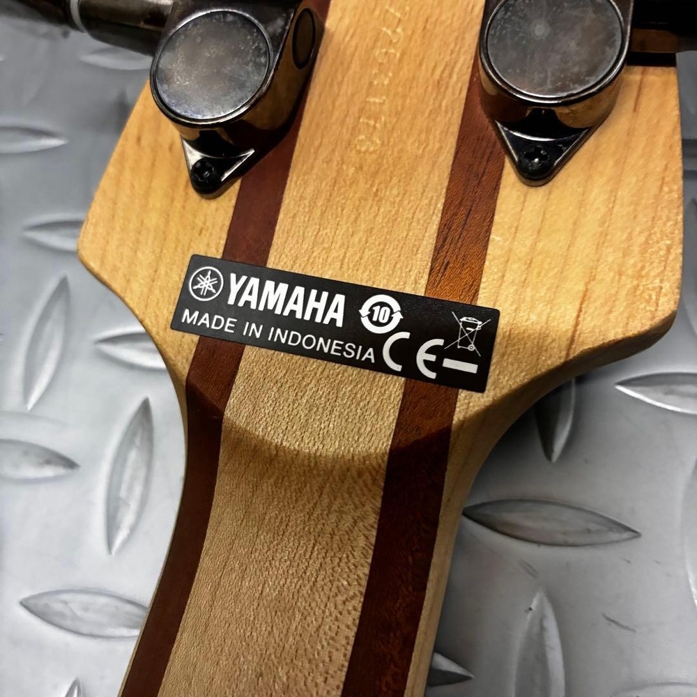 Equipped With Passive Active Switching Function Yamaha Trbx504 Black