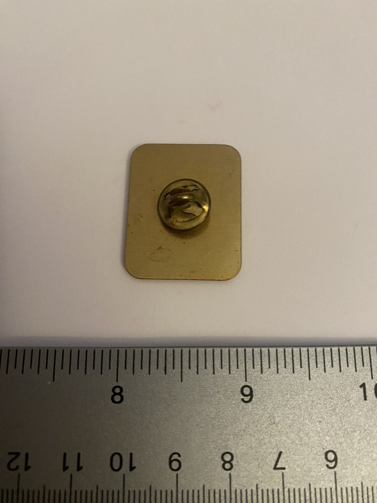 USA Nevada State Flag Lapel Pin P156
