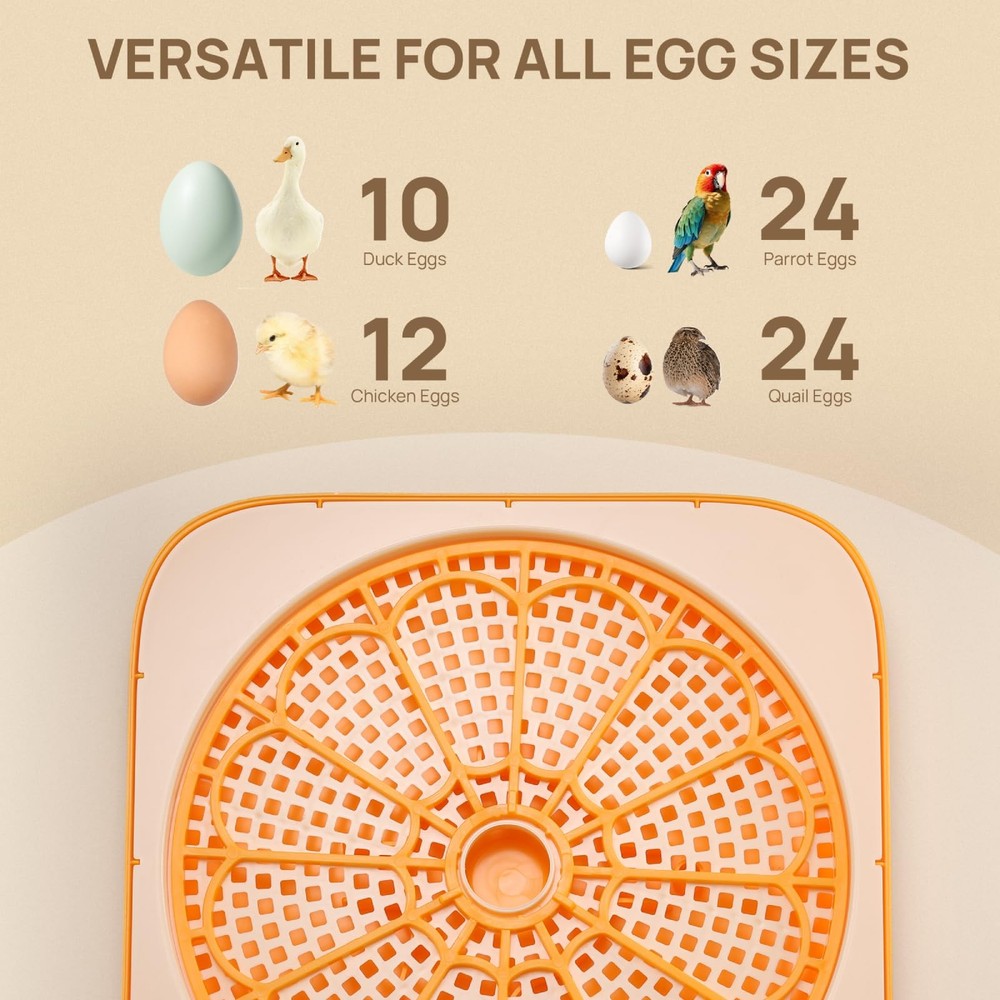 TURBRO 12 Egg Incubator with Automatic Turning, ProHatch 12, Orange