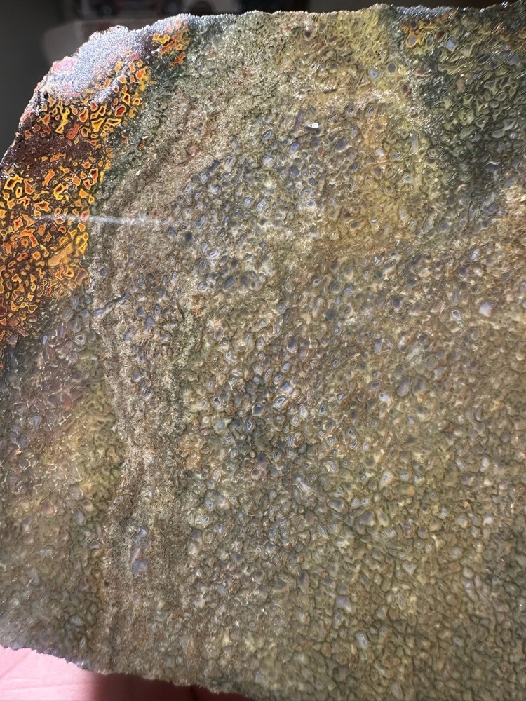 Dinosaur bone rough **hxtled slab.