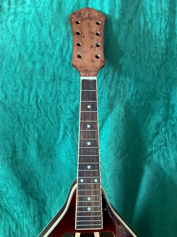 Mandolin Import Neck/ Body Part (for restore)