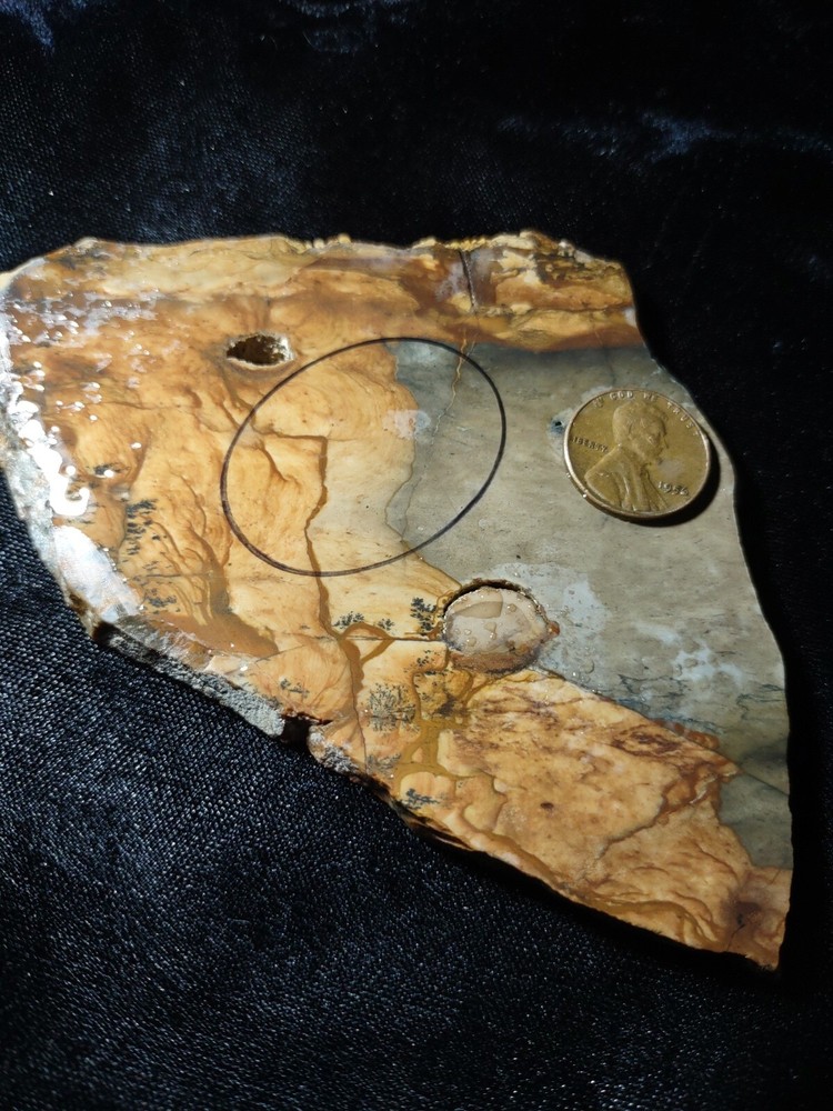 Biggs Canyon Jasper Oregon Slab 94 grams