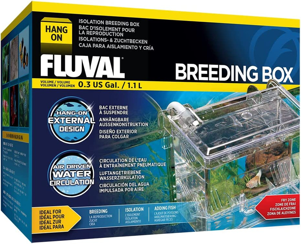 Multi-Chamber Holding and Breeding Box, Medium