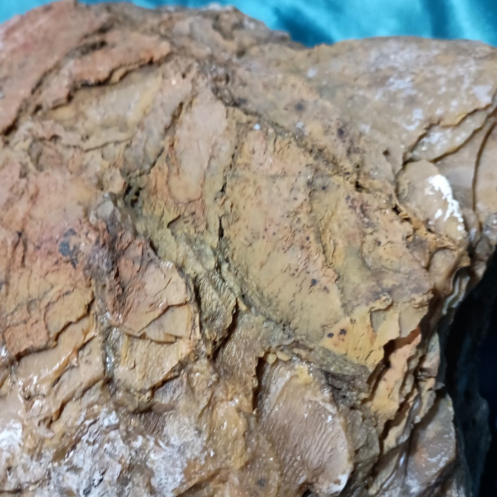 Opalized Petrified Wood Specimen WA State 17 LBS