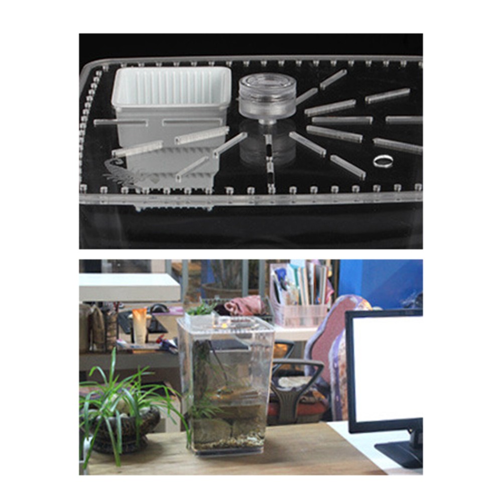 Transparent Desktop Reptile Box Acrylic Reptile Breeding Box with LED Light