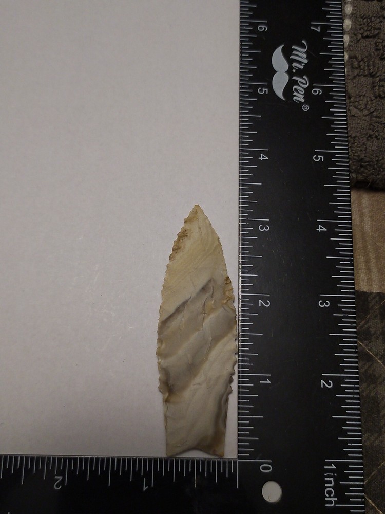 Dalton Ozark Chert fine serations 3 3/16" x 1"
