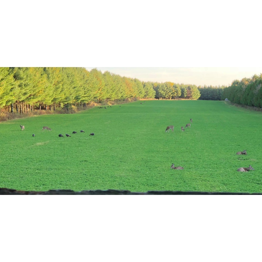 High Protein Wild Game Food Plot Seed for Mega Plot Series Planting