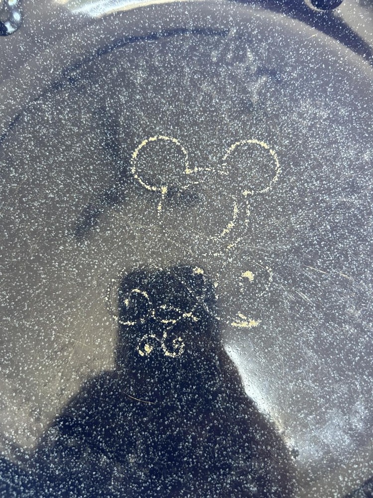 Disney Parks Authentic Dinner ware - Blue Speckled Plates 3