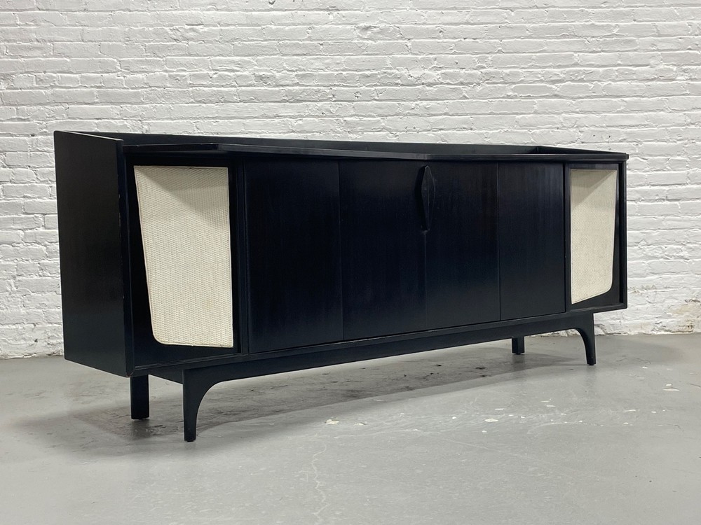 Extra Long Ebonized Mid Century Modern Stereo Cabinet / Credenza | Sideboard
