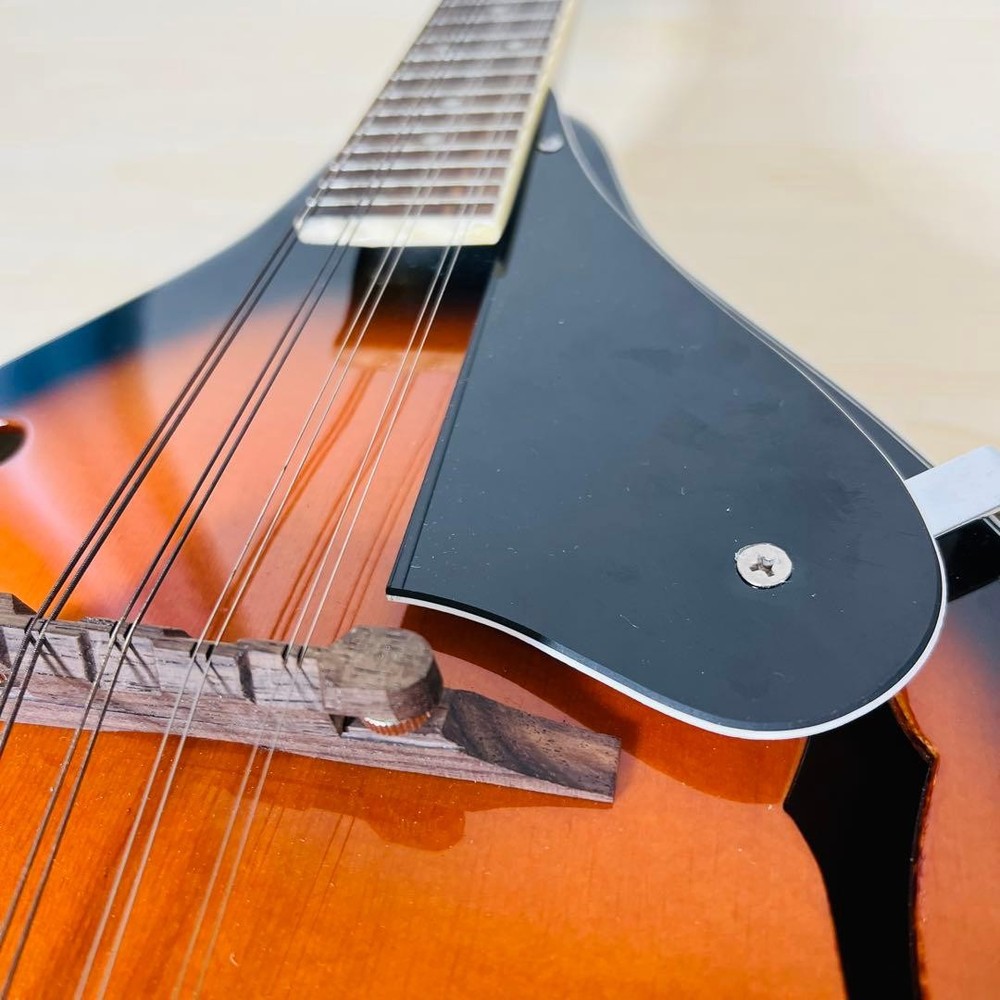 ARIA AM-20 Mandolin 8 string with hard case