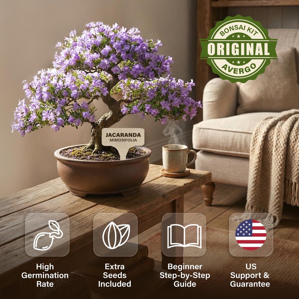 Bonsai Starter Kit – Growing Jacaranda Bonzai Tree | Complete Indoor Tree Kit...