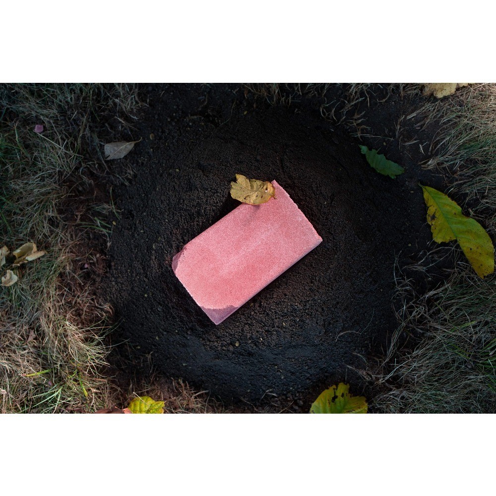 2-Pack Scented Deer Salt Block, 4lbs Long-Lasting Time-Released