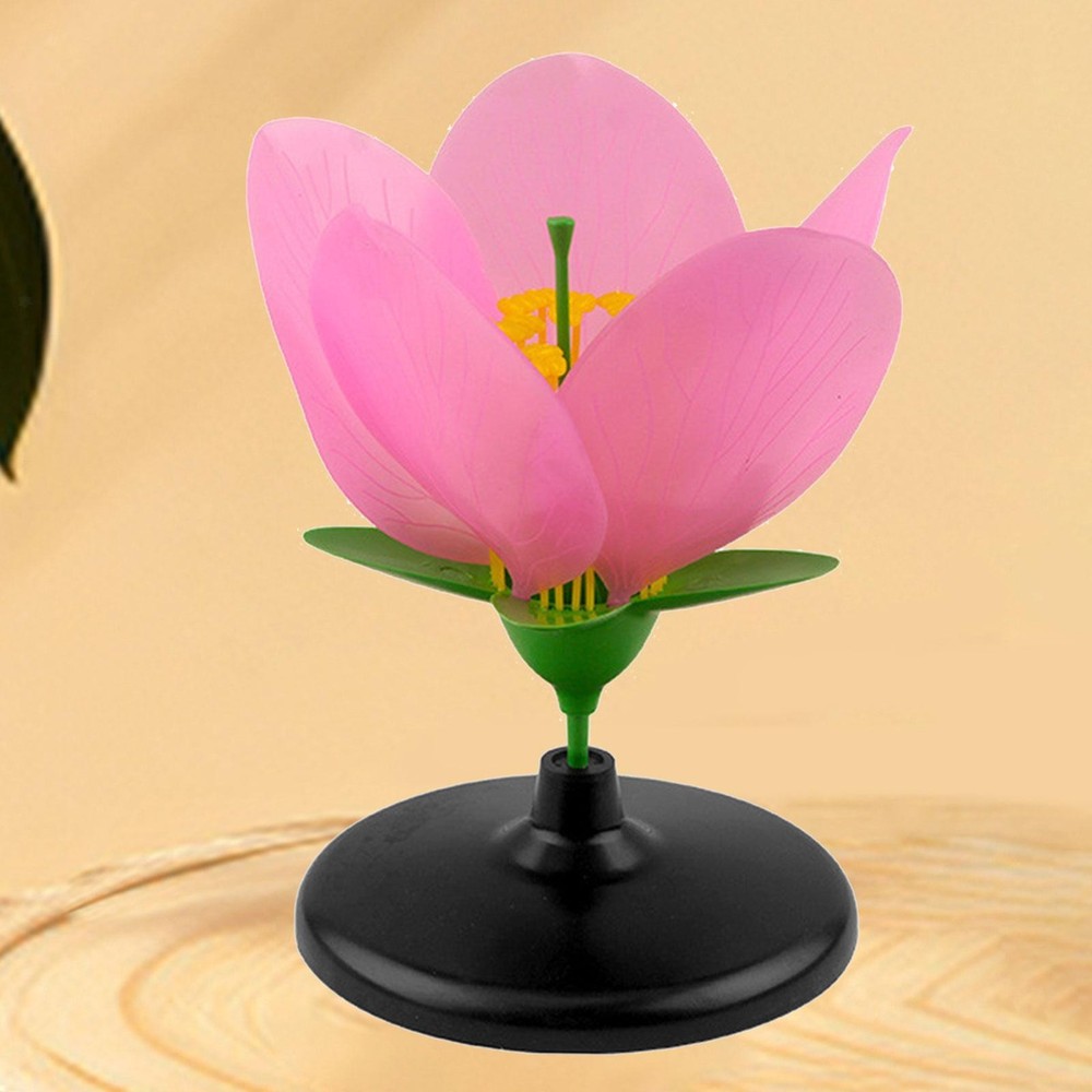 Peach Plant Model Petal Structure Realistic Desktop Decor Teaching Aid for