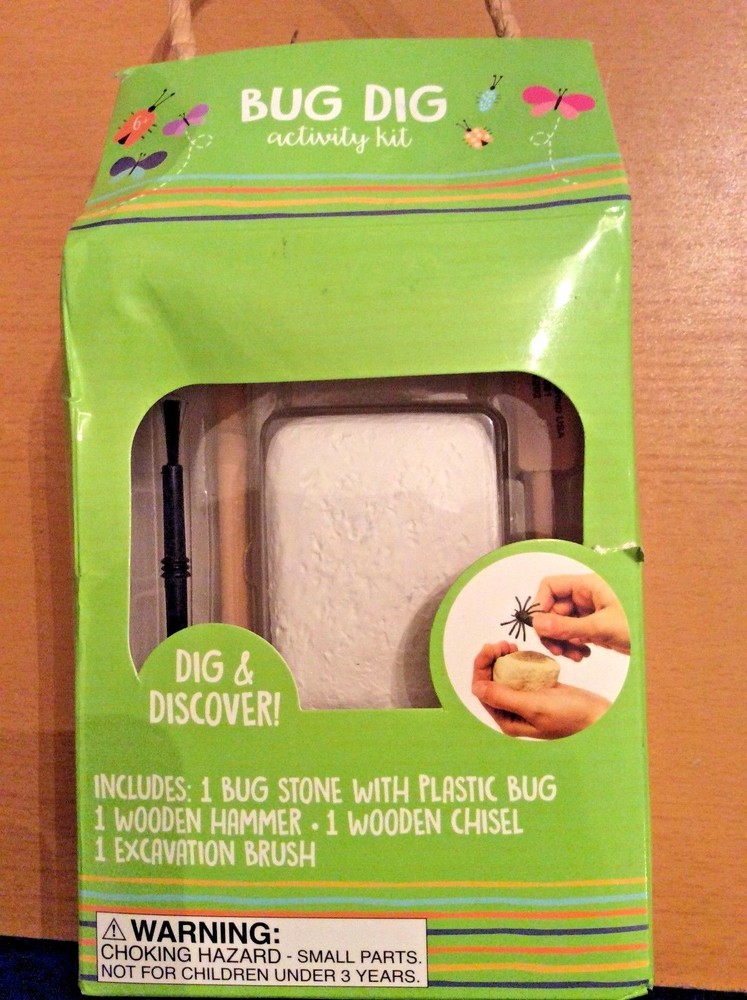 Bug Dig Insect Excavation Kit Dig Discover Bug Stone Activity Kit