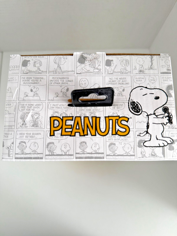 Peanuts Snoopy Bluetooth Karaoke Microphone Wireless Speaker NEW