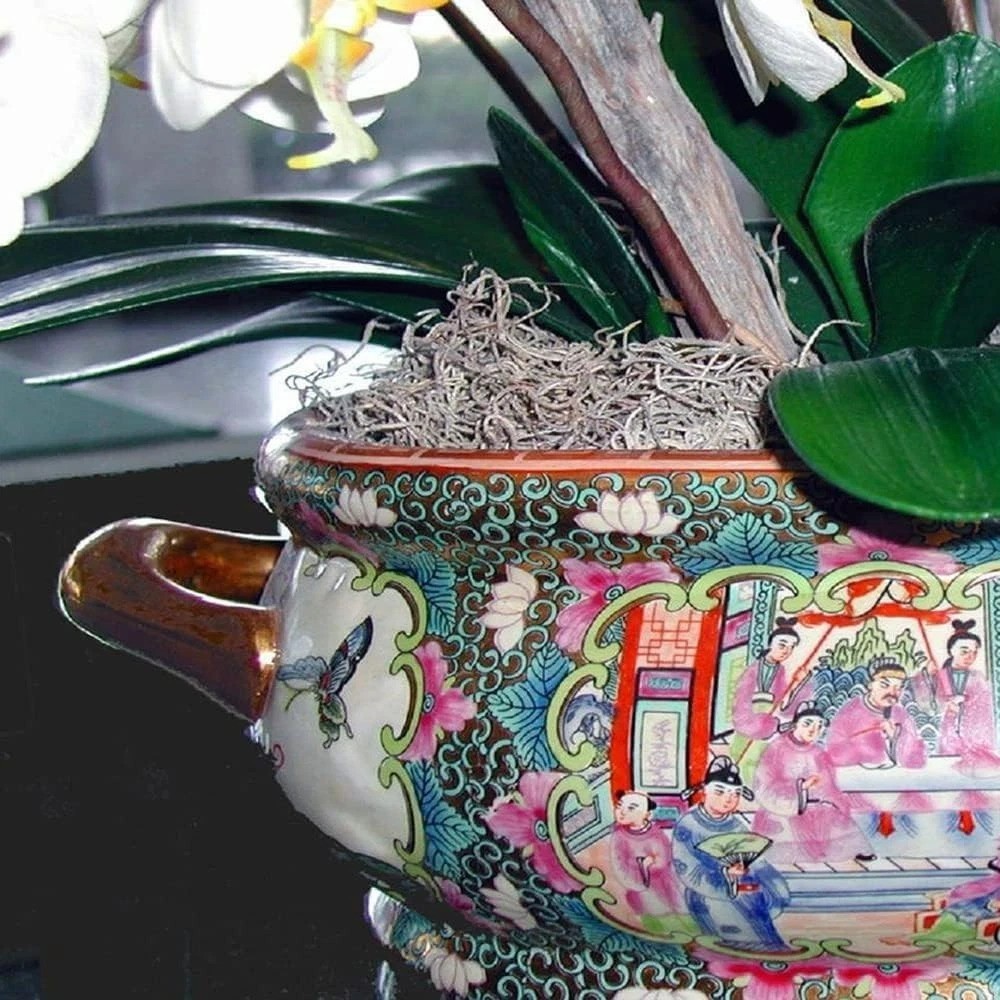 Spanish Moss, 250 Cubic Inches