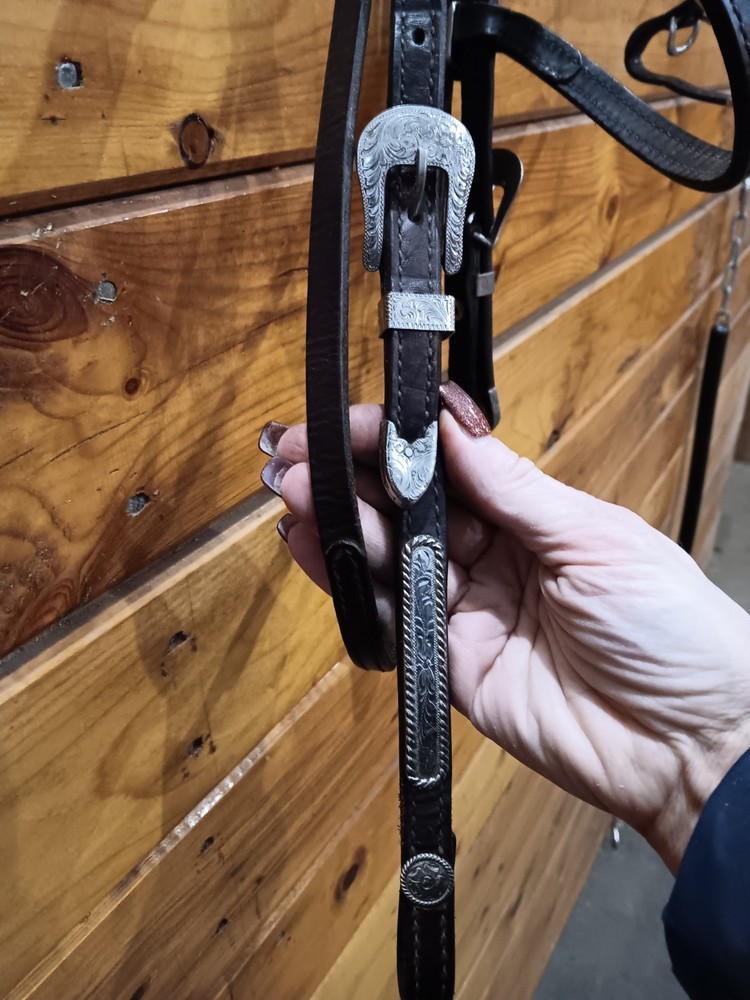 Circle Y Silver Show Headstall